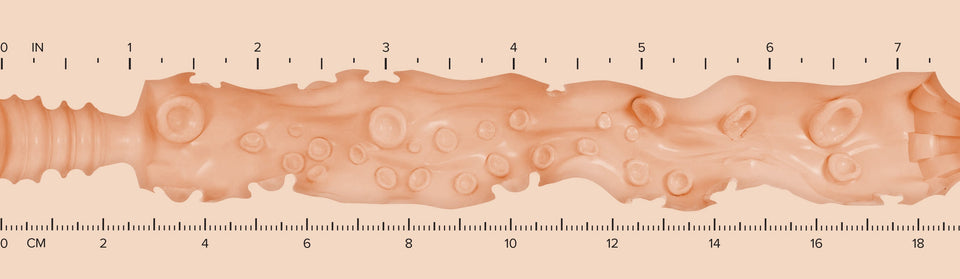 Lady_Texture-Ruler-H-Valentina.jpg